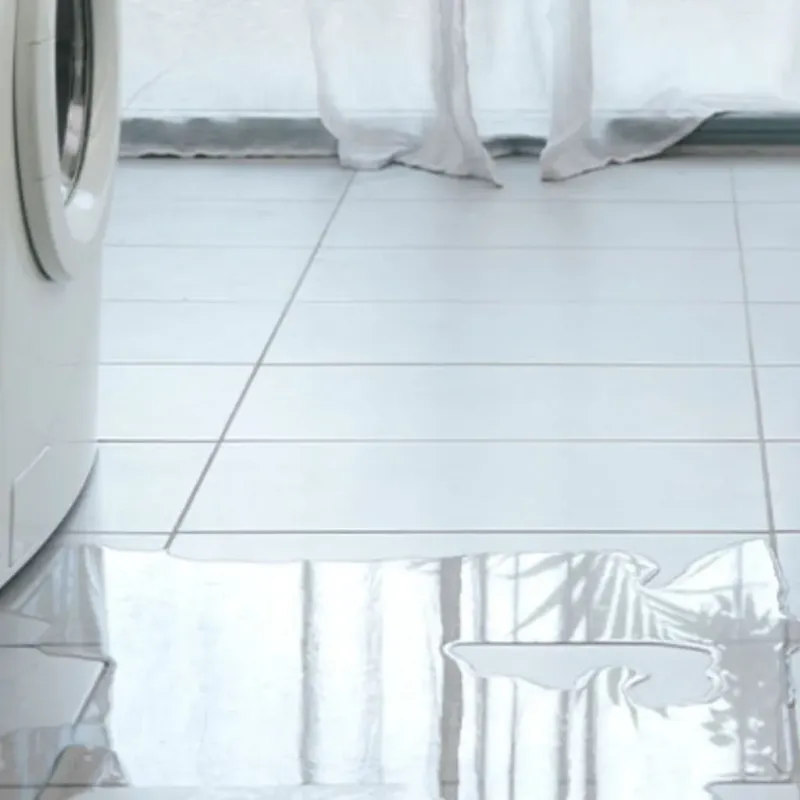 Appliance Leak Cleanup in Mitchell County, IA