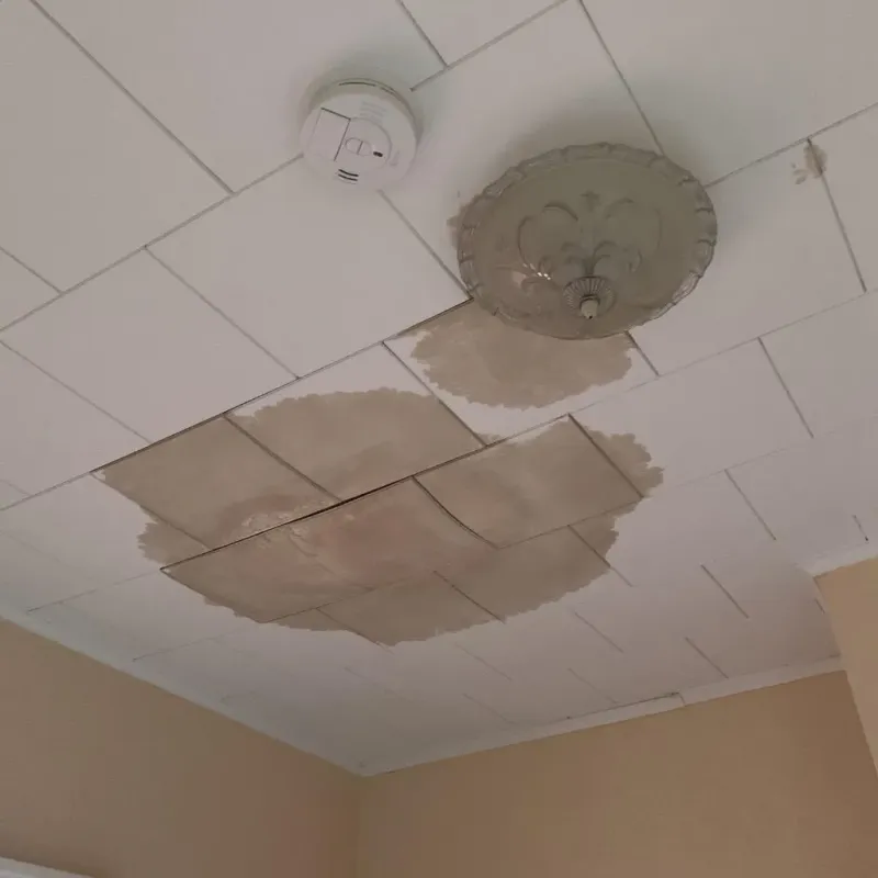 Ceiling Water Damage Repair in Mitchell County, IA