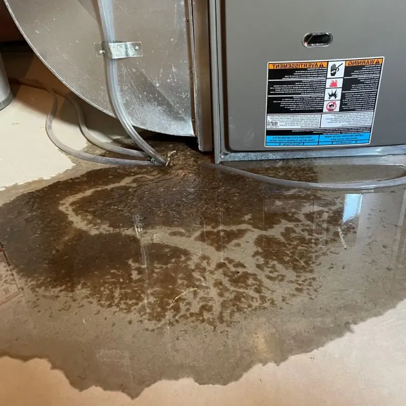 Pipe Burst and Leak Restoration in Mitchell County, IA