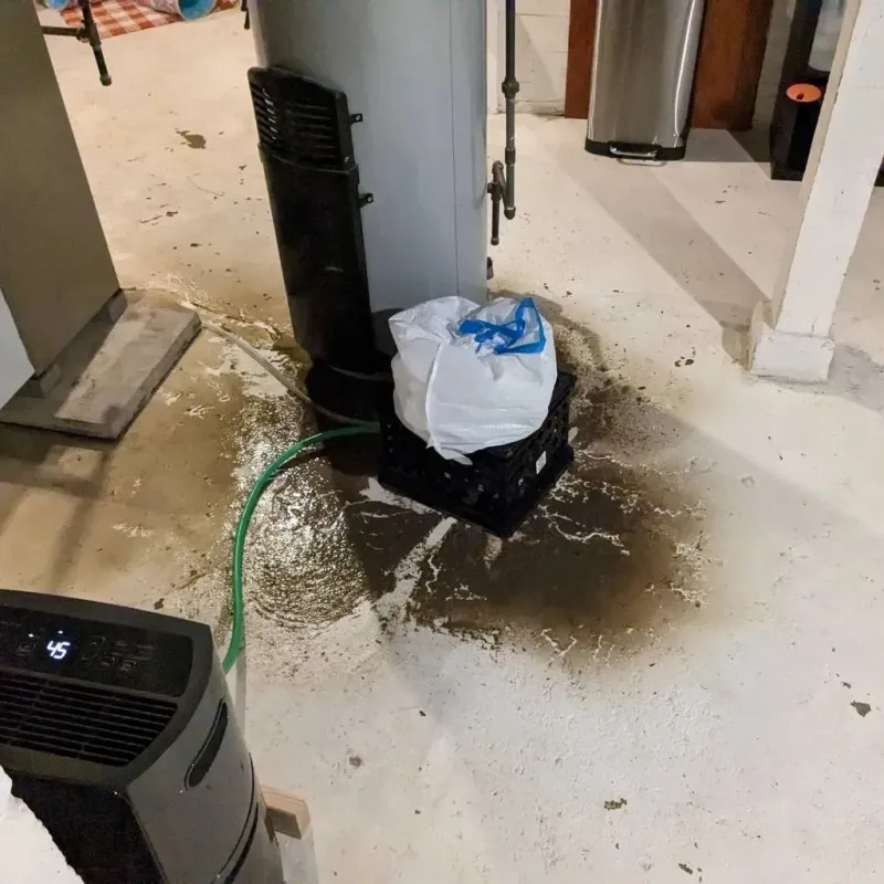 Sewage Backup Cleanup Service in Mitchell County, IA